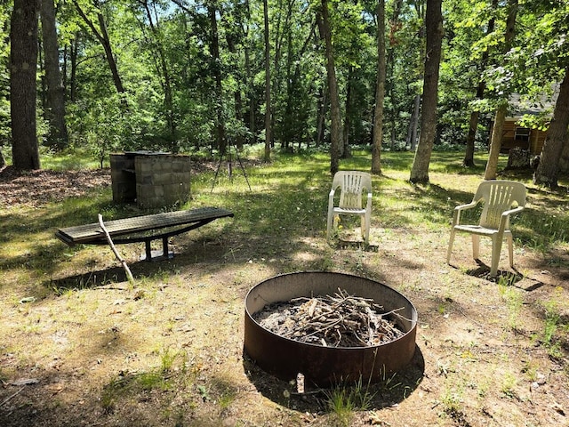 9945 N Jerome Dr, Bitely, MI 49309 - photo 7
