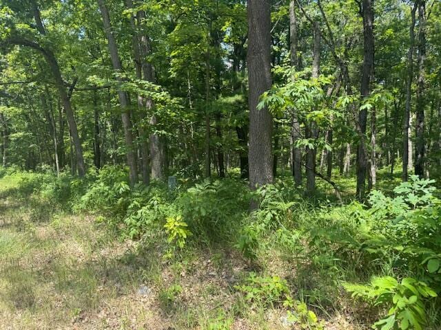 VL Cleveland Dr, Bitely, MI 49309 - photo 2