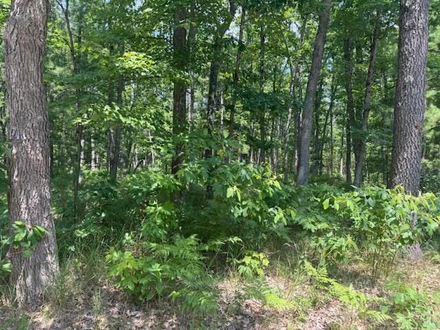 VL Cleveland Dr, Bitely, MI 49309 - photo 1