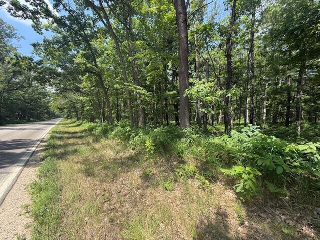 VL Cleveland Dr, Bitely, MI 49309 - photo 3
