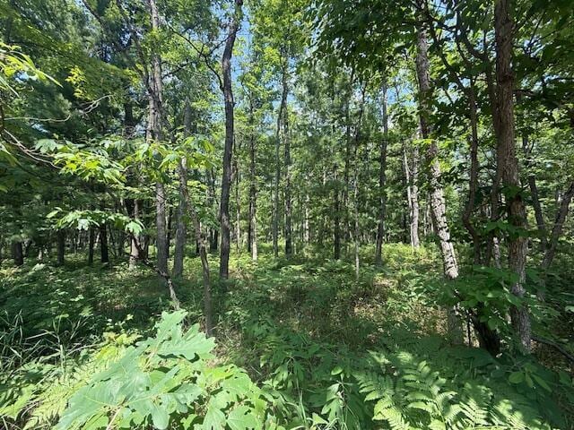 VL Cleveland Dr, Bitely, MI 49309 - photo 4