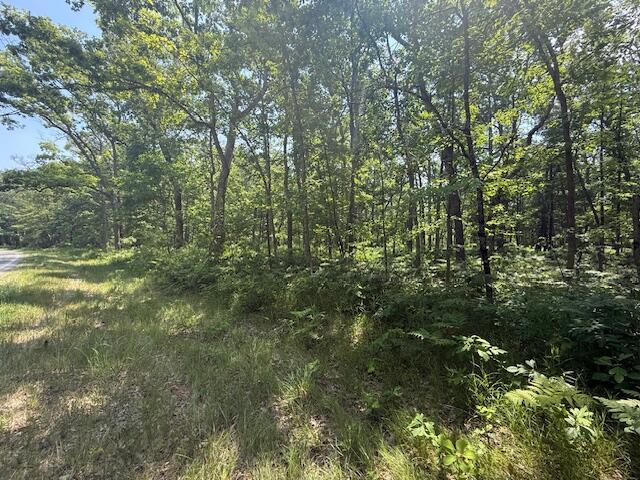 VL Cleveland Dr, Bitely, MI 49309 - photo 5