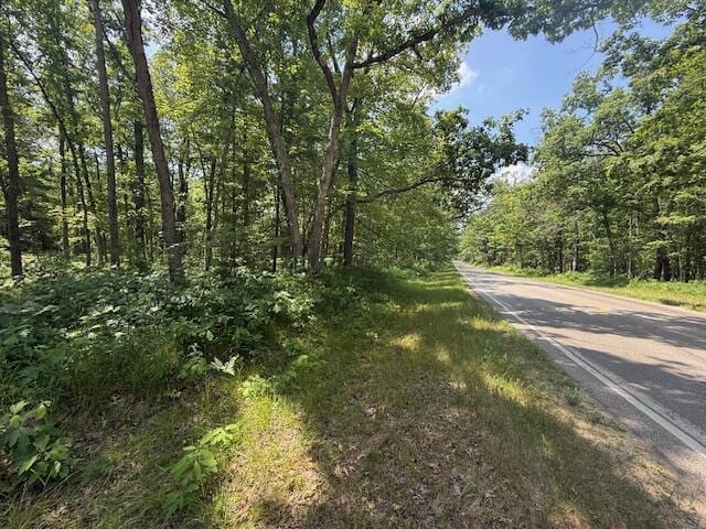VL Cleveland Dr, Bitely, MI 49309 - photo 6