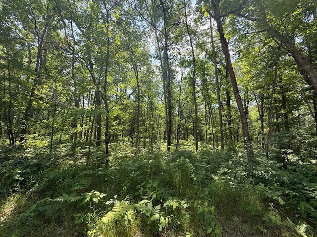 VL Cleveland Dr, Bitely, MI 49309 - photo 7