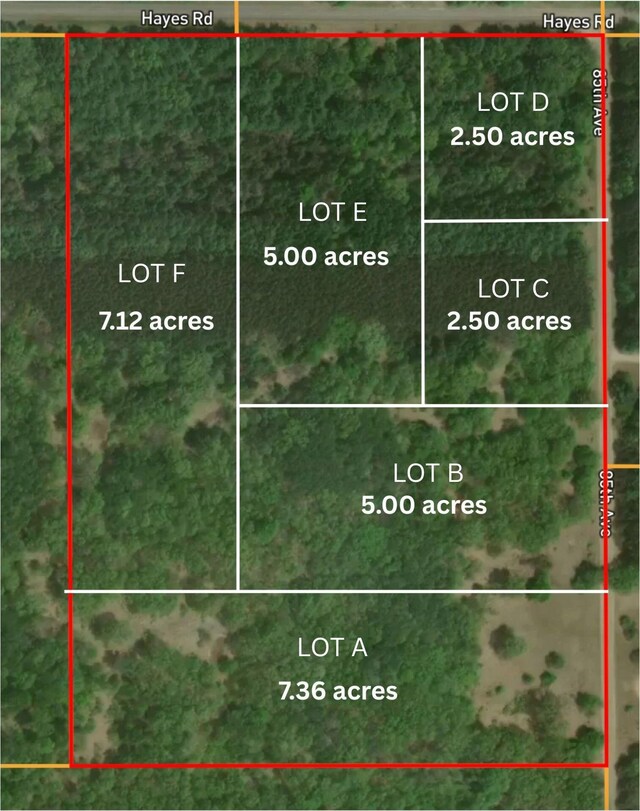 LotF Hayes Road, Mecosta, MI 49332 - photo 4