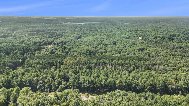LotF Hayes Road, Mecosta, MI 49332 - photo 5