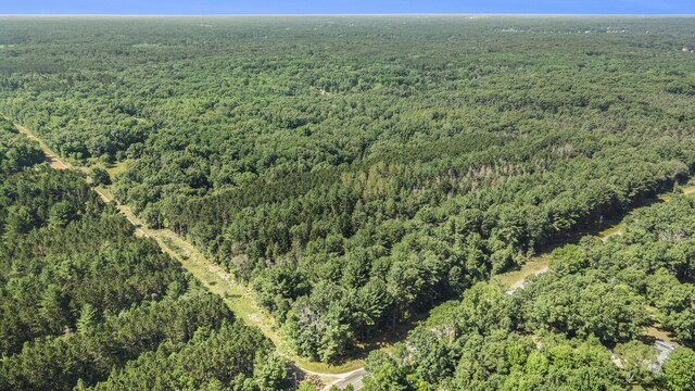 LotF Hayes Road, Mecosta, MI 49332 - photo 6