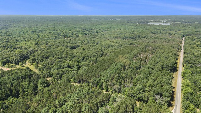 LotF Hayes Road, Mecosta, MI 49332 - photo 7