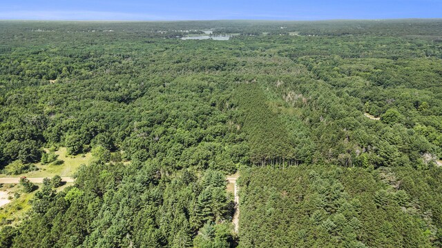 LotF Hayes Road, Mecosta, MI 49332 - photo 8