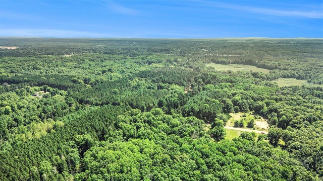 LotF Hayes Road, Mecosta, MI 49332 - photo 9