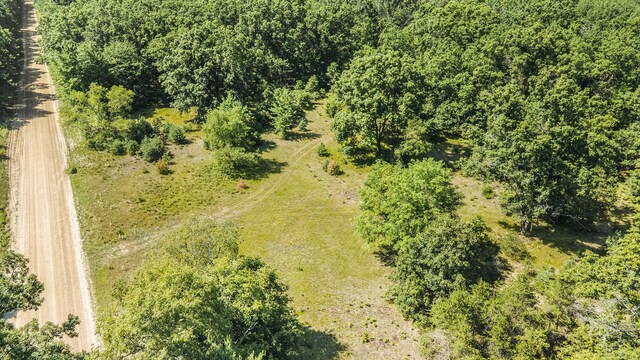 LotF Hayes Road, Mecosta, MI 49332 - photo 11