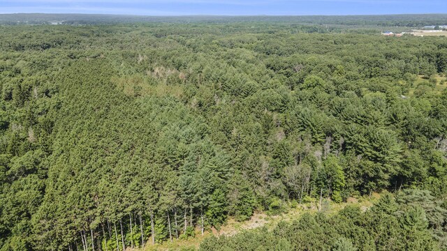LotF Hayes Road, Mecosta, MI 49332 - photo 12