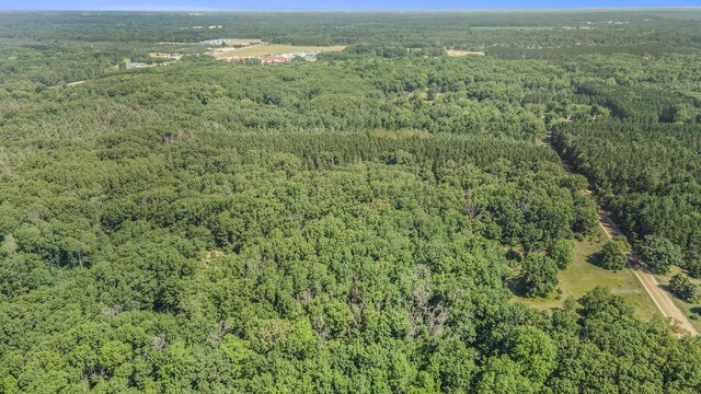 LotF Hayes Road, Mecosta, MI 49332 - photo 13