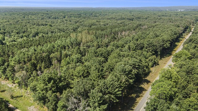 LotF Hayes Road, Mecosta, MI 49332 - photo 14