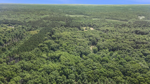 LotF Hayes Road, Mecosta, MI 49332 - photo 15