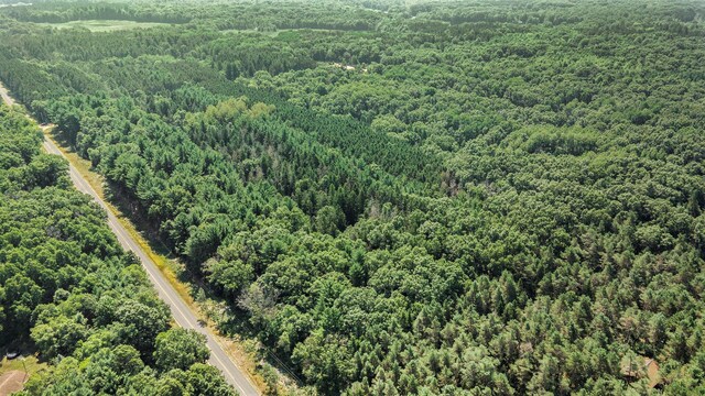 LotF Hayes Road, Mecosta, MI 49332 - photo 16
