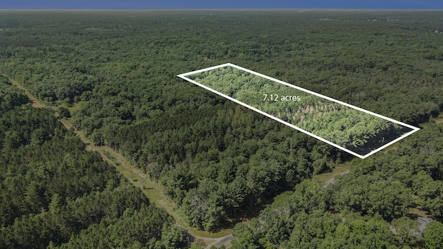 LotF Hayes Road, Mecosta, MI 49332 - photo 1
