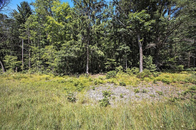 LotF Hayes Road, Mecosta, MI 49332 - photo 20