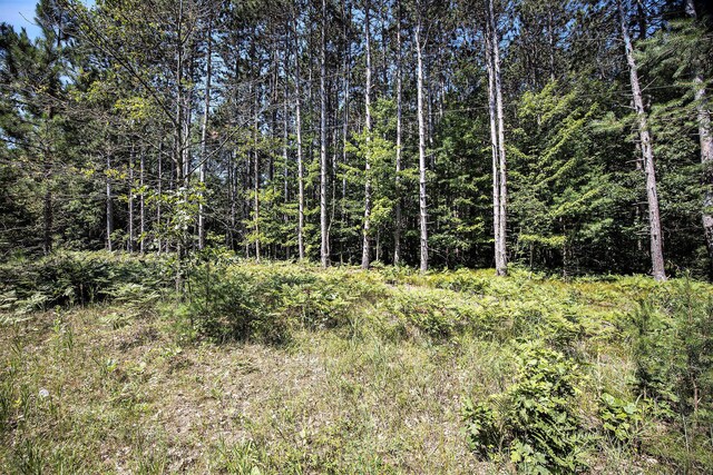 LotF Hayes Road, Mecosta, MI 49332 - photo 21