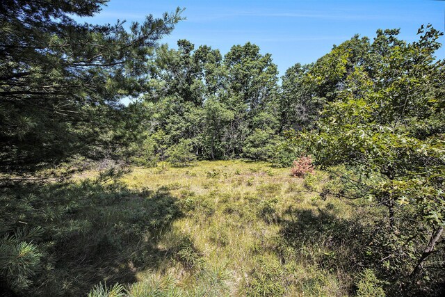 LotF Hayes Road, Mecosta, MI 49332 - photo 23