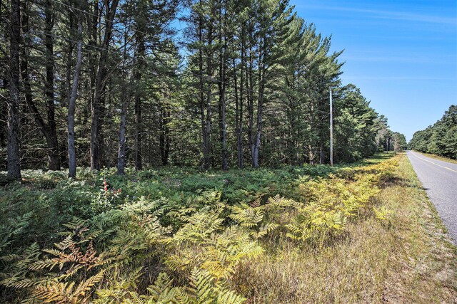 LotF Hayes Road, Mecosta, MI 49332 - photo 25
