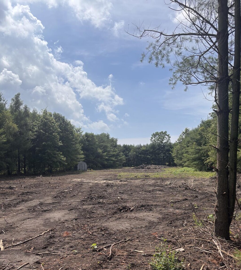 9710 Miller Rd, Baroda, MI 49101 - photo 3