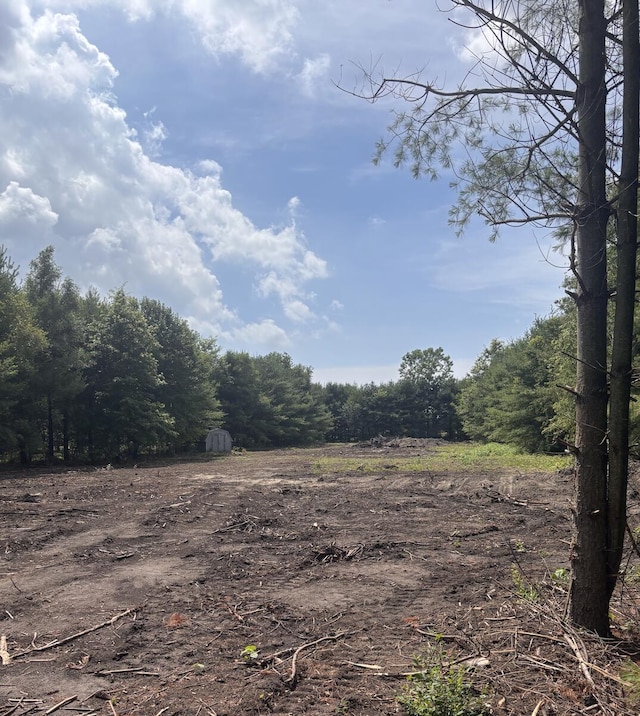 9710 Miller Rd, Baroda, MI 49101 - photo 3
