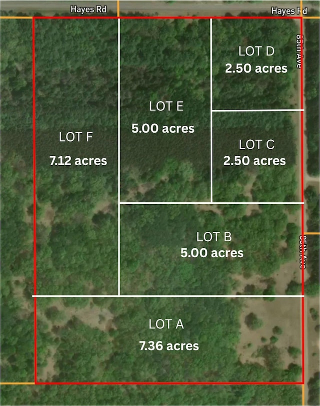 LOTD 85th Ave, Mecosta, MI 49332 - photo 4