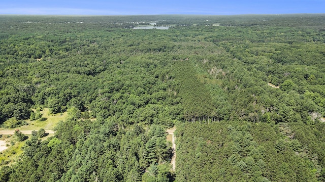 LOTD 85th Ave, Mecosta, MI 49332 - photo 8