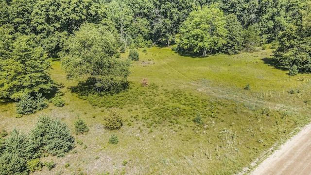 LOTD 85th Ave, Mecosta, MI 49332 - photo 10