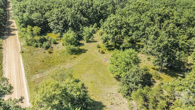LOTD 85th Ave, Mecosta, MI 49332 - photo 11