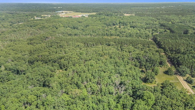 LOTD 85th Ave, Mecosta, MI 49332 - photo 13