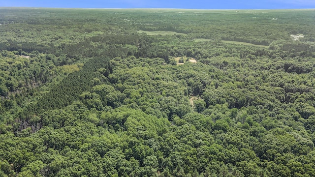 LOTD 85th Ave, Mecosta, MI 49332 - photo 15