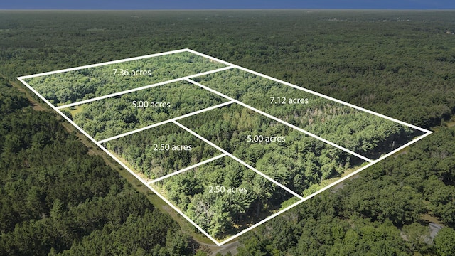 LOTD 85th Ave, Mecosta, MI 49332 - photo 3