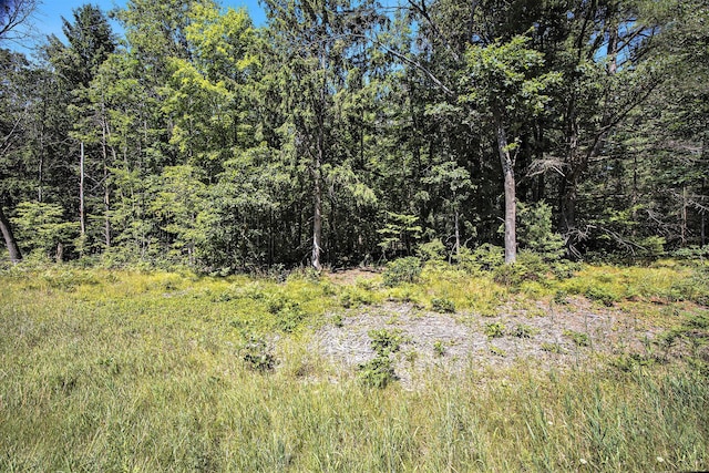 LOTD 85th Ave, Mecosta, MI 49332 - photo 20