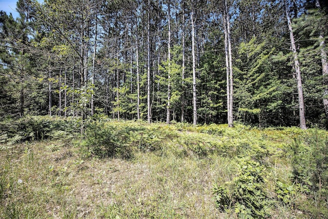 LOTD 85th Ave, Mecosta, MI 49332 - photo 21