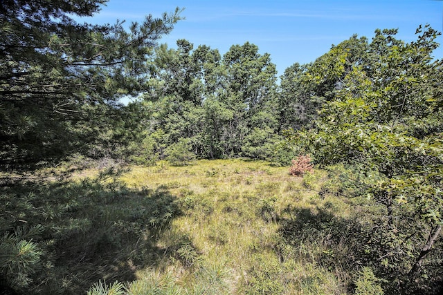 LOTD 85th Ave, Mecosta, MI 49332 - photo 23