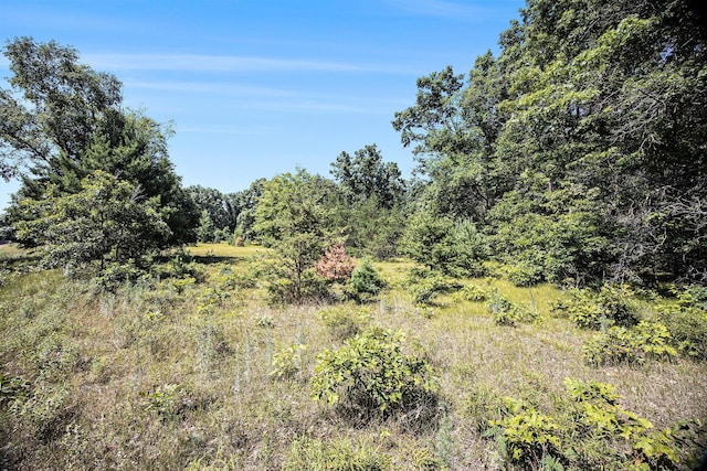 LOTD 85th Ave, Mecosta, MI 49332 - photo 24