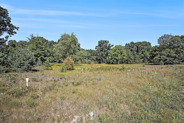 LOTD 85th Ave, Mecosta, MI 49332 - photo 26
