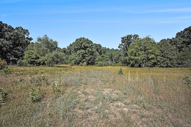 LOTD 85th Ave, Mecosta, MI 49332 - photo 27