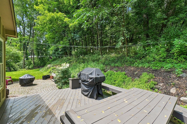 6047 Sundance Trl, Brighton, MI 48116 - photo 60