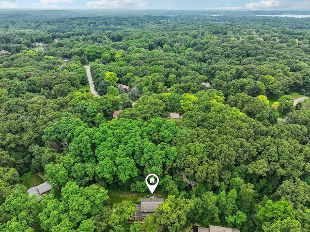 6047 Sundance Trl, Brighton, MI 48116 - photo 64