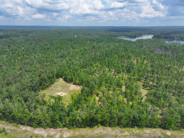 V/L12.27A Meridian Line Rd, Johannesburg, MI 49751 - photo 2