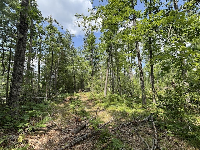 V/L12.27A Meridian Line Rd, Johannesburg, MI 49751 - photo 5