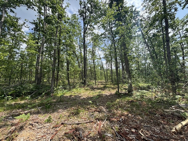 V/L12.27A Meridian Line Rd, Johannesburg, MI 49751 - photo 8