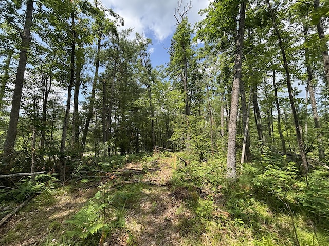 V/L12.27A Meridian Line Rd, Johannesburg, MI 49751 - photo 10