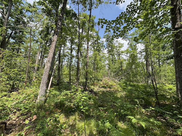 V/L12.27A Meridian Line Rd, Johannesburg, MI 49751 - photo 11