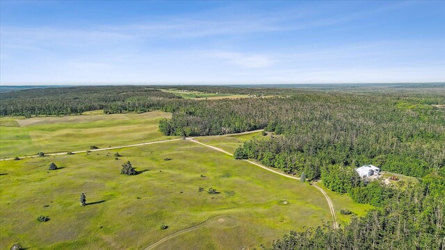3603 Blahowiak Rd, Gaylord, MI 49735 - photo 6