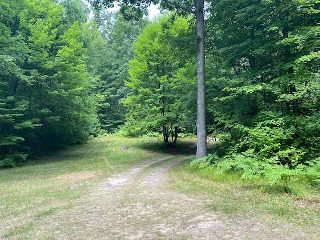 9190 Ferris Ave, Bitely, MI 49309 - photo 1