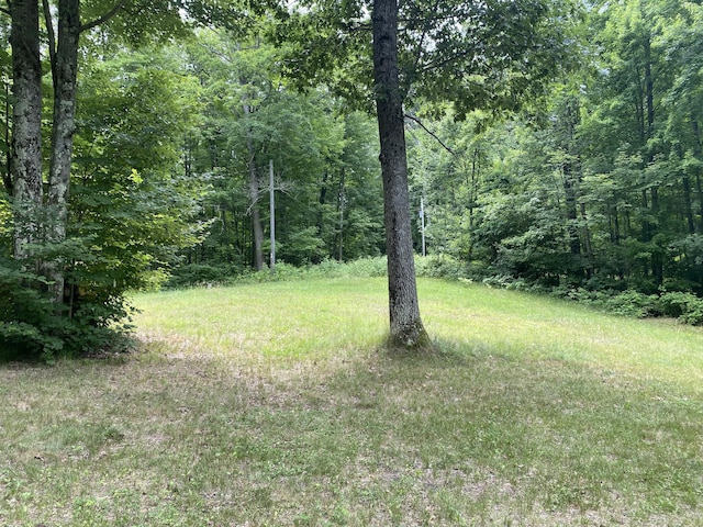 9190 Ferris Ave, Bitely, MI 49309 - photo 8